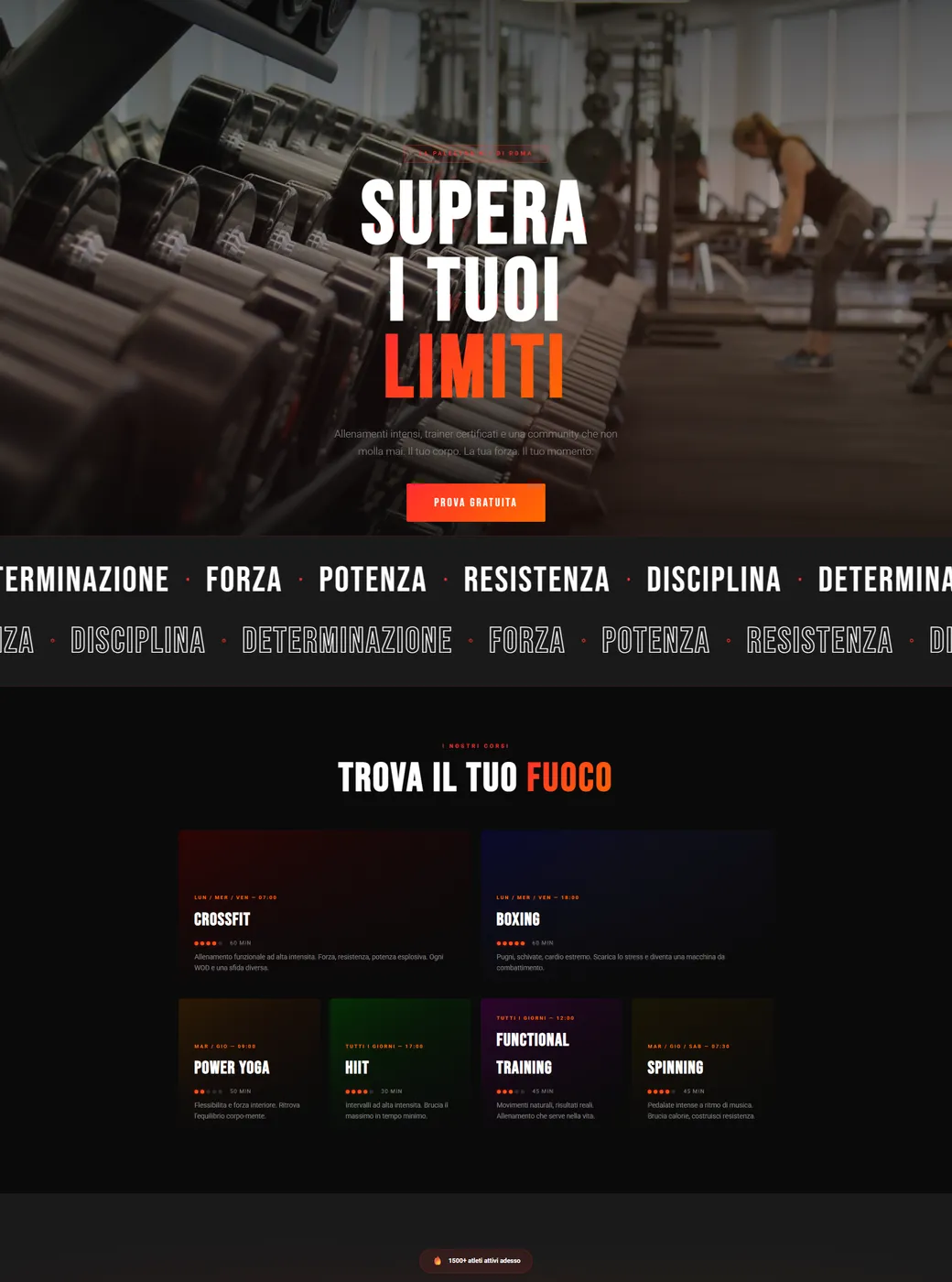 Preview Apex Fitness